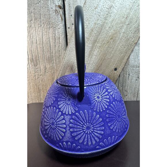 Spigo Nagano Cast Iron Enamel Teapot W/Removable Stainless-Steel Infuser - Picture 11 of 12